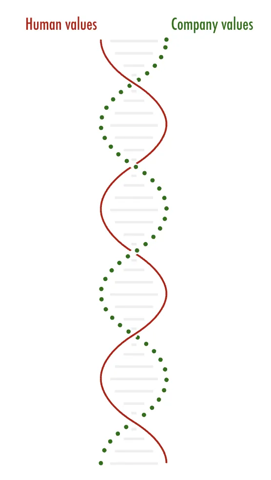 DNA Brunello